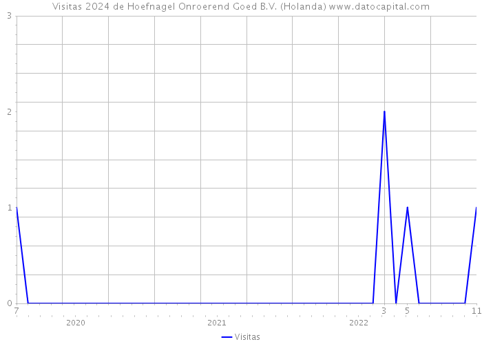 Visitas 2024 de Hoefnagel Onroerend Goed B.V. (Holanda) 