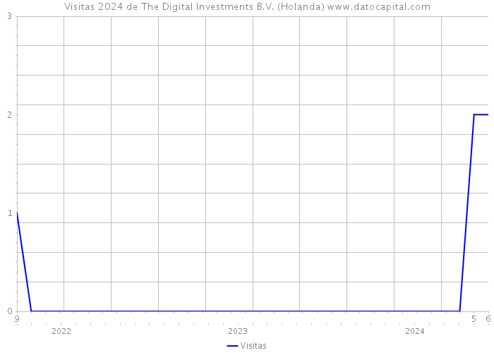 Visitas 2024 de The Digital Investments B.V. (Holanda) 