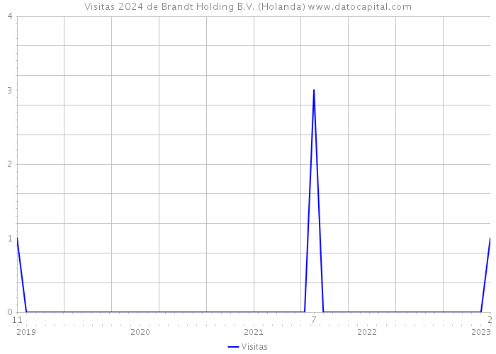 Visitas 2024 de Brandt Holding B.V. (Holanda) 