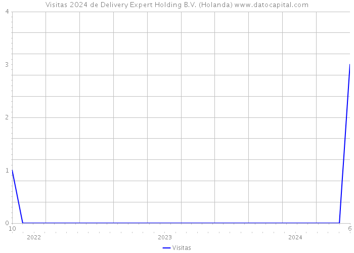 Visitas 2024 de Delivery Expert Holding B.V. (Holanda) 