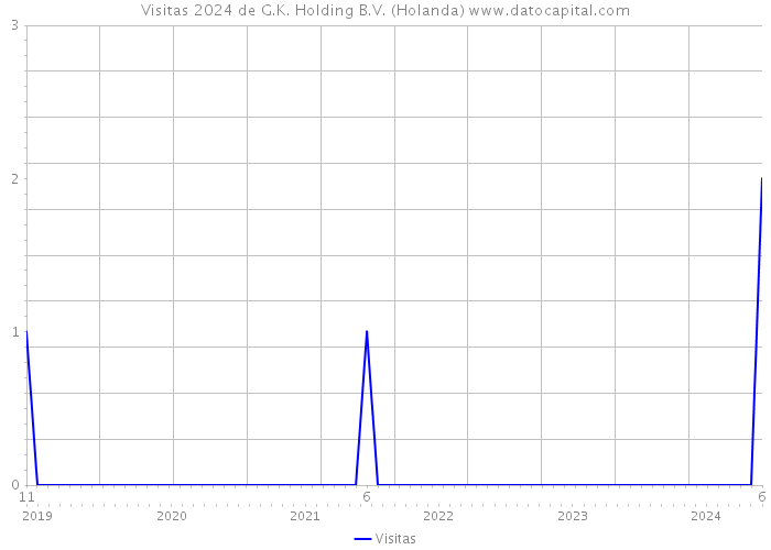 Visitas 2024 de G.K. Holding B.V. (Holanda) 