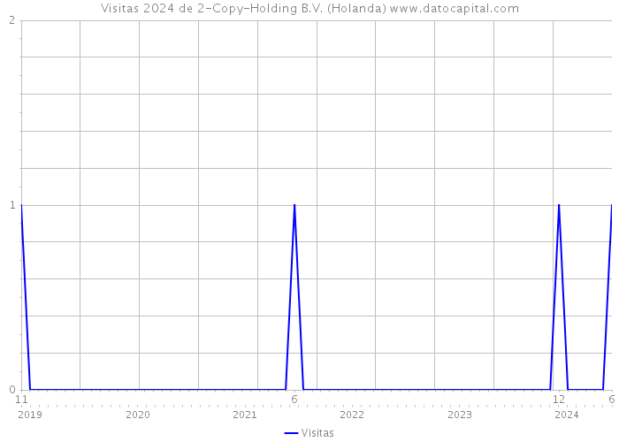 Visitas 2024 de 2-Copy-Holding B.V. (Holanda) 