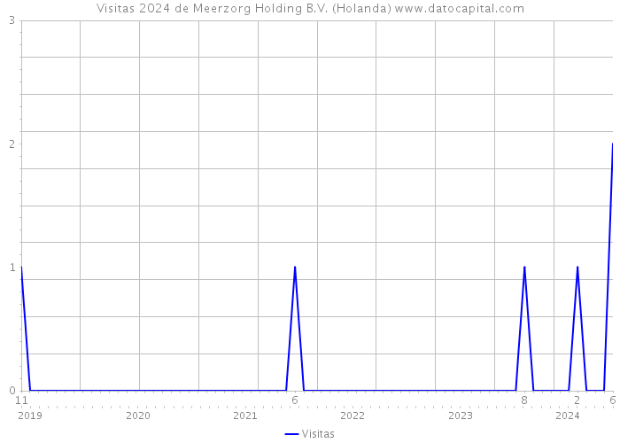 Visitas 2024 de Meerzorg Holding B.V. (Holanda) 
