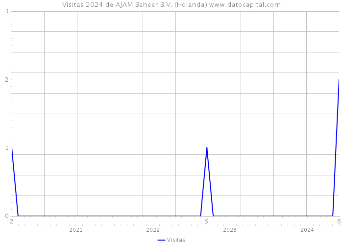 Visitas 2024 de AJAM Beheer B.V. (Holanda) 