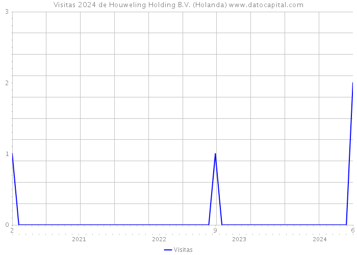 Visitas 2024 de Houweling Holding B.V. (Holanda) 