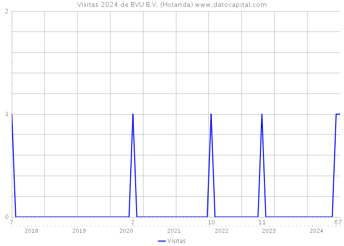 Visitas 2024 de BVU B.V. (Holanda) 