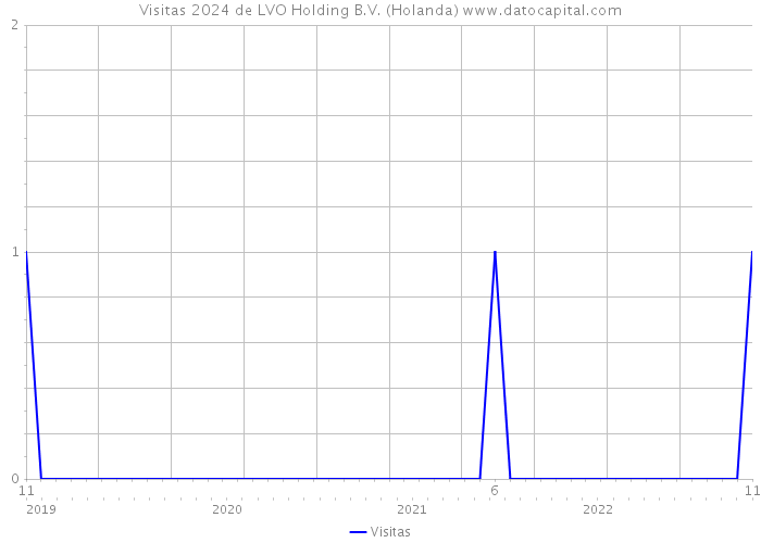 Visitas 2024 de LVO Holding B.V. (Holanda) 