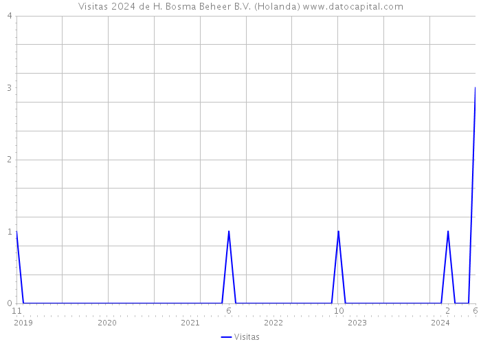 Visitas 2024 de H. Bosma Beheer B.V. (Holanda) 