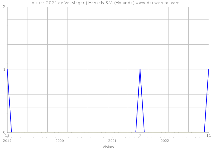 Visitas 2024 de Vakslagerij Hensels B.V. (Holanda) 