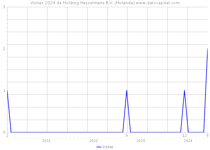 Visitas 2024 de Holding Hesselmans B.V. (Holanda) 