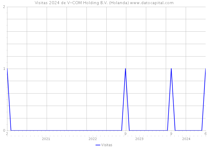 Visitas 2024 de V-COM Holding B.V. (Holanda) 