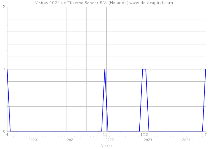 Visitas 2024 de Tilkema Beheer B.V. (Holanda) 