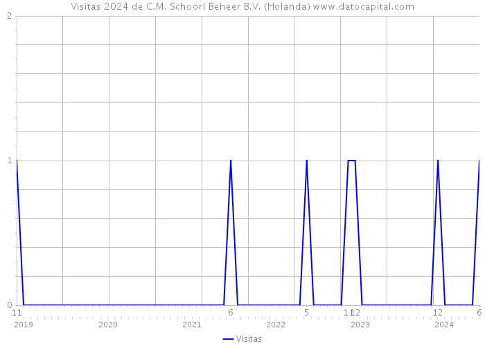 Visitas 2024 de C.M. Schoorl Beheer B.V. (Holanda) 