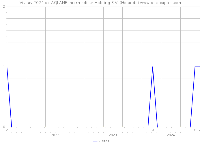 Visitas 2024 de AQLANE Intermediate Holding B.V. (Holanda) 