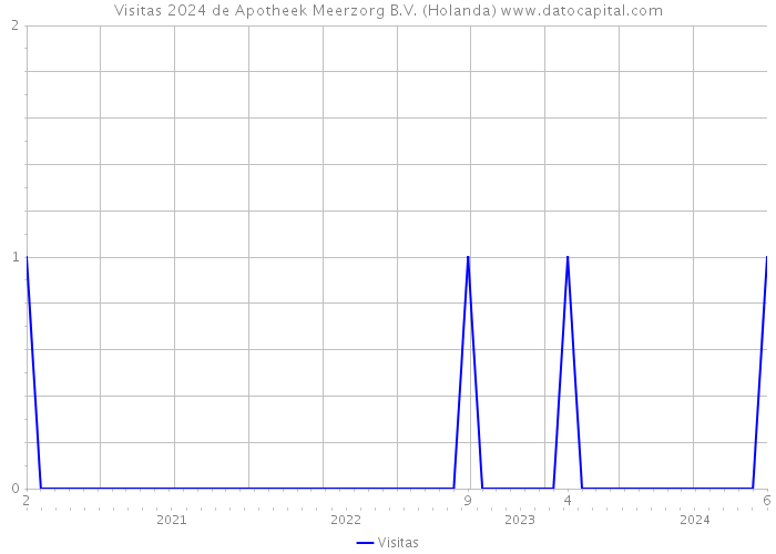 Visitas 2024 de Apotheek Meerzorg B.V. (Holanda) 