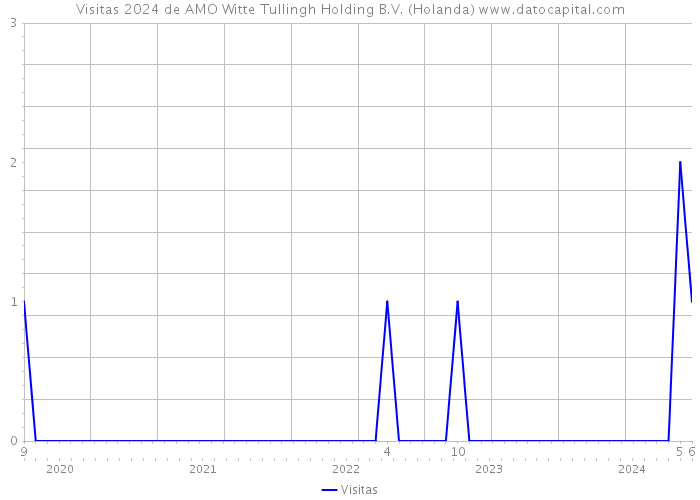 Visitas 2024 de AMO Witte Tullingh Holding B.V. (Holanda) 