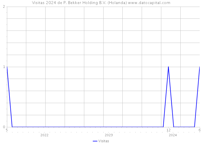 Visitas 2024 de P. Bekker Holding B.V. (Holanda) 