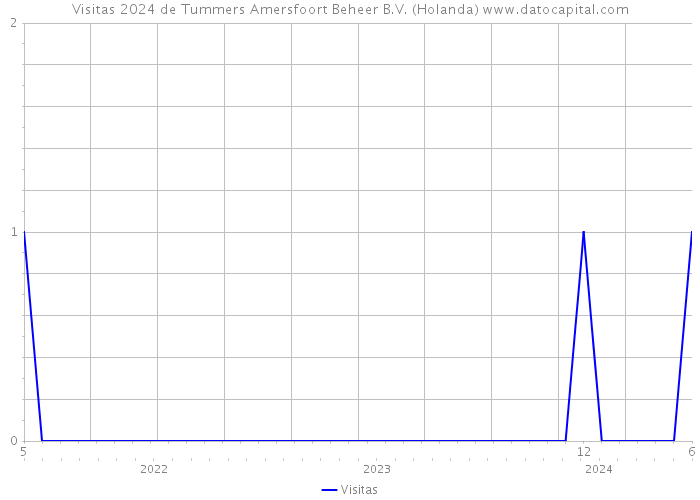 Visitas 2024 de Tummers Amersfoort Beheer B.V. (Holanda) 