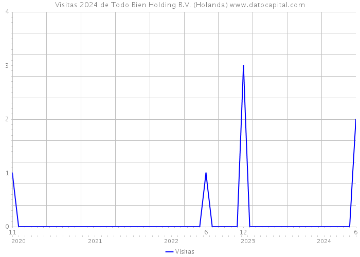 Visitas 2024 de Todo Bien Holding B.V. (Holanda) 