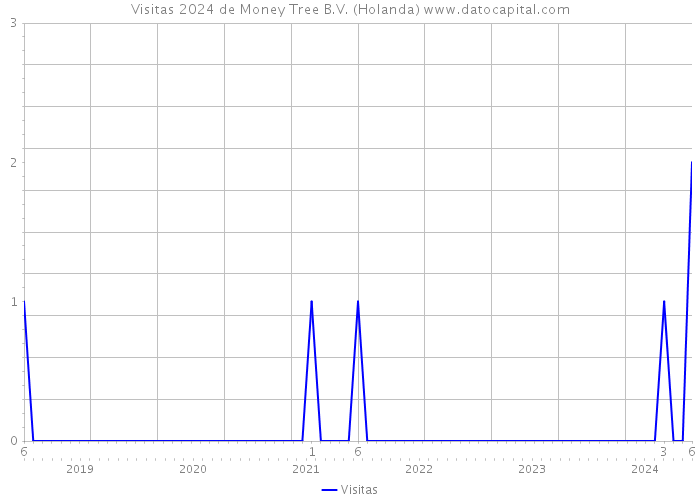 Visitas 2024 de Money Tree B.V. (Holanda) 