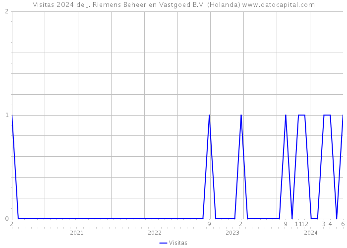 Visitas 2024 de J. Riemens Beheer en Vastgoed B.V. (Holanda) 