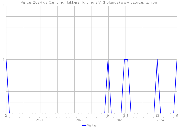 Visitas 2024 de Camping Hakkers Holding B.V. (Holanda) 