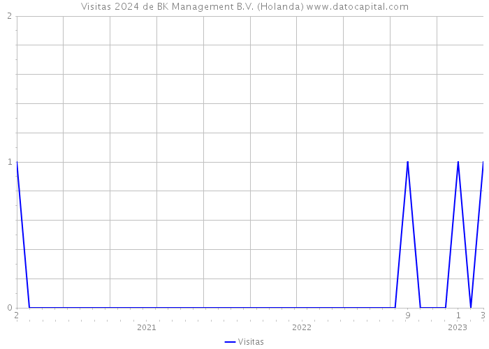 Visitas 2024 de BK Management B.V. (Holanda) 