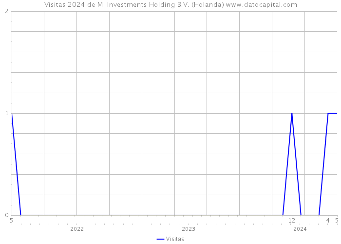 Visitas 2024 de MI Investments Holding B.V. (Holanda) 
