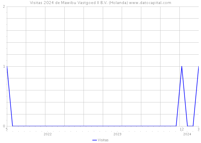 Visitas 2024 de Mawibu Vastgoed II B.V. (Holanda) 