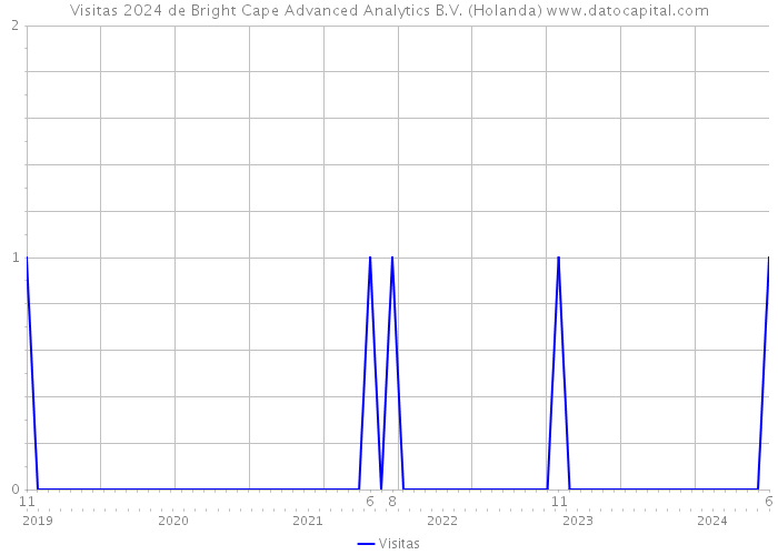 Visitas 2024 de Bright Cape Advanced Analytics B.V. (Holanda) 