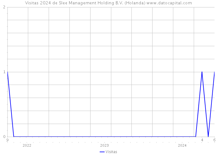 Visitas 2024 de Slee Management Holding B.V. (Holanda) 