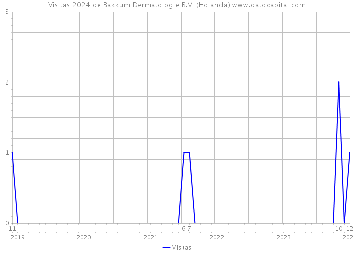Visitas 2024 de Bakkum Dermatologie B.V. (Holanda) 