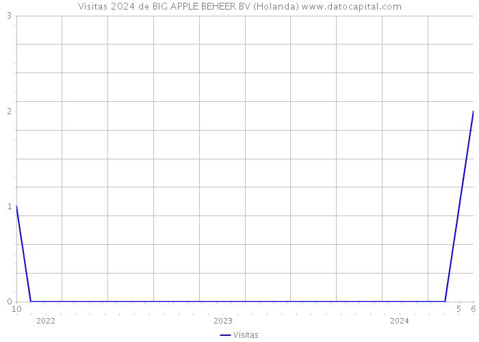 Visitas 2024 de BIG APPLE BEHEER BV (Holanda) 