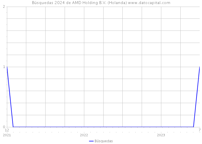 Búsquedas 2024 de AMD Holding B.V. (Holanda) 
