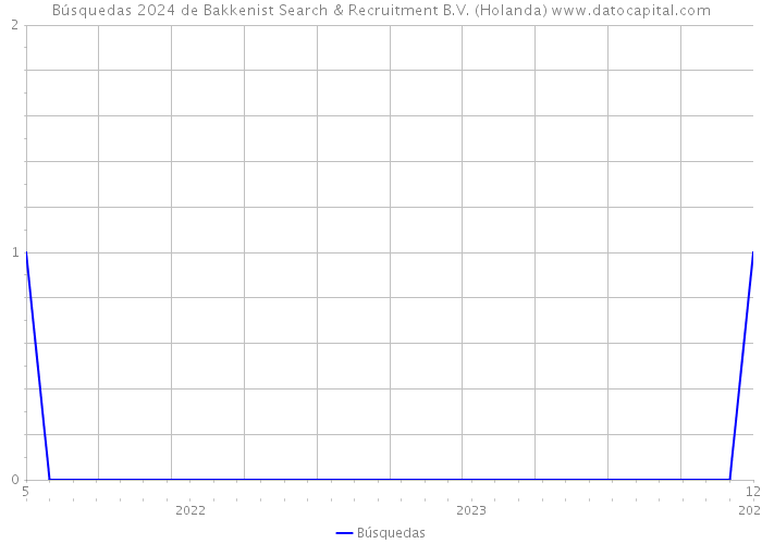 Búsquedas 2024 de Bakkenist Search & Recruitment B.V. (Holanda) 