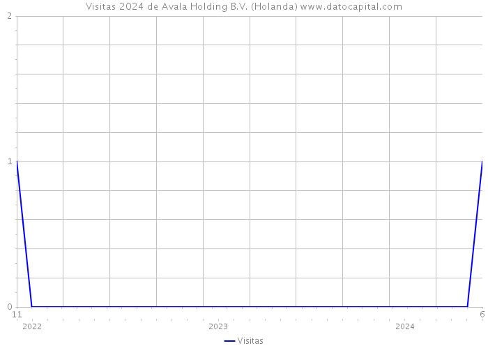 Visitas 2024 de Avala Holding B.V. (Holanda) 