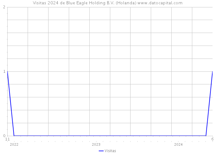 Visitas 2024 de Blue Eagle Holding B.V. (Holanda) 