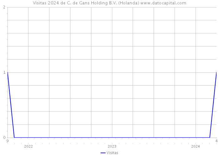 Visitas 2024 de C. de Gans Holding B.V. (Holanda) 