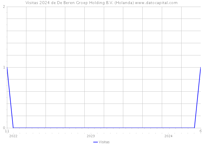 Visitas 2024 de De Beren Groep Holding B.V. (Holanda) 