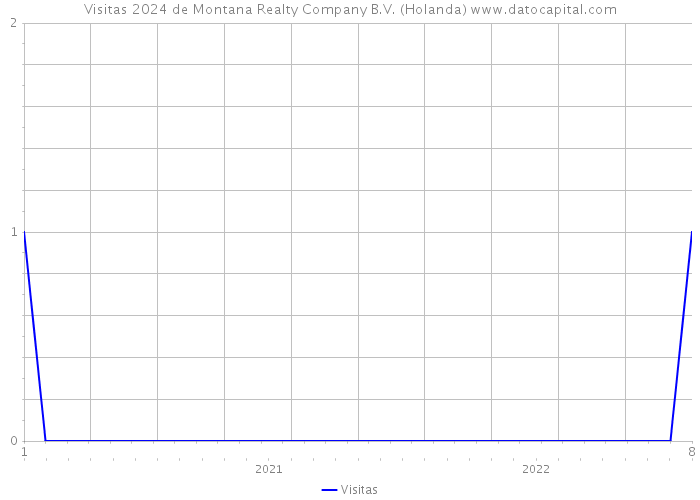 Visitas 2024 de Montana Realty Company B.V. (Holanda) 