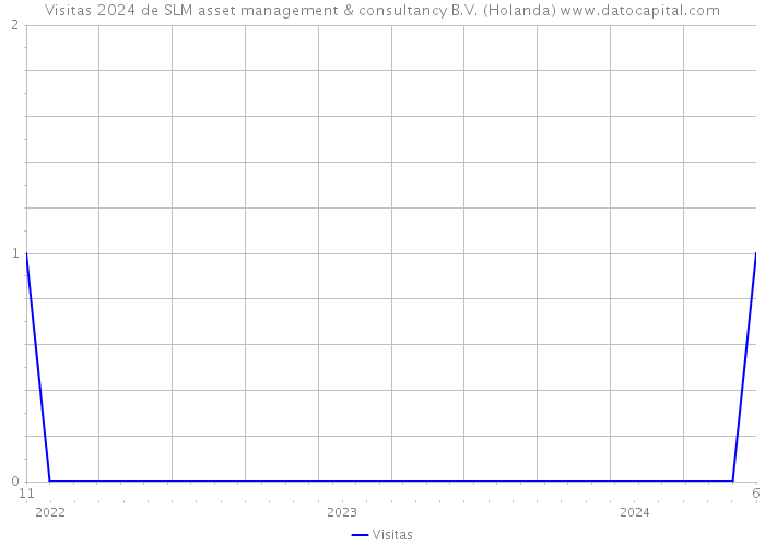 Visitas 2024 de SLM asset management & consultancy B.V. (Holanda) 