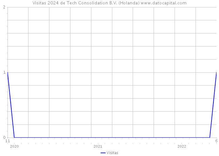 Visitas 2024 de Tech Consolidation B.V. (Holanda) 