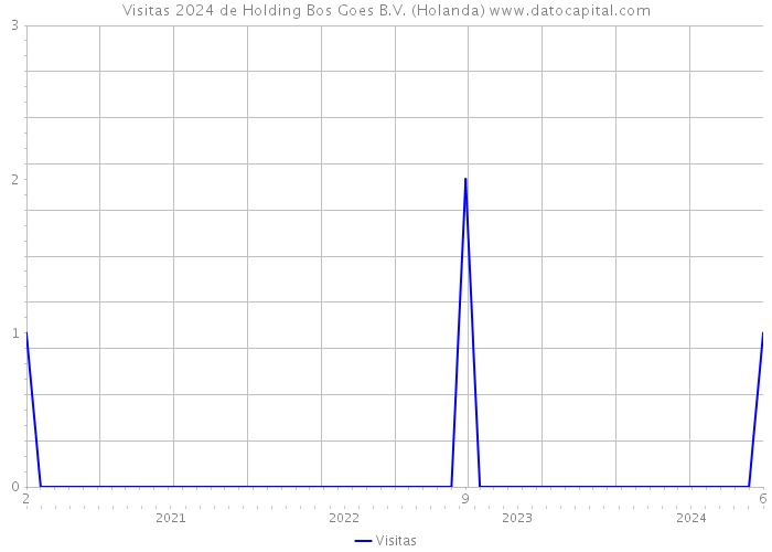 Visitas 2024 de Holding Bos Goes B.V. (Holanda) 