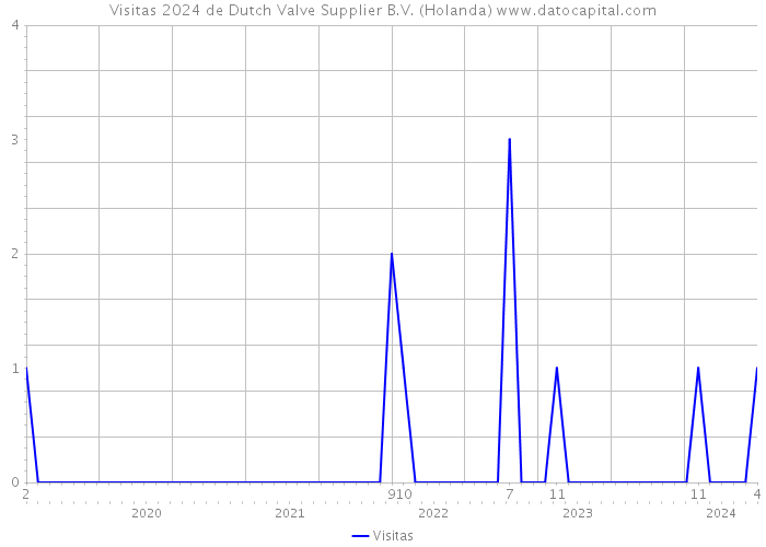 Visitas 2024 de Dutch Valve Supplier B.V. (Holanda) 