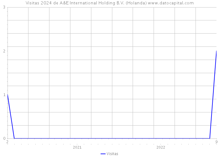 Visitas 2024 de A&E International Holding B.V. (Holanda) 