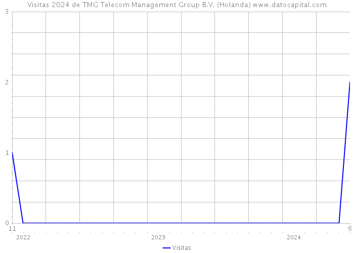 Visitas 2024 de TMG Telecom Management Group B.V. (Holanda) 