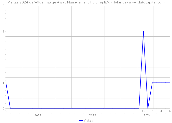 Visitas 2024 de Wilgenhaege Asset Management Holding B.V. (Holanda) 