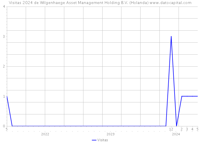 Visitas 2024 de Wilgenhaege Asset Management Holding B.V. (Holanda) 
