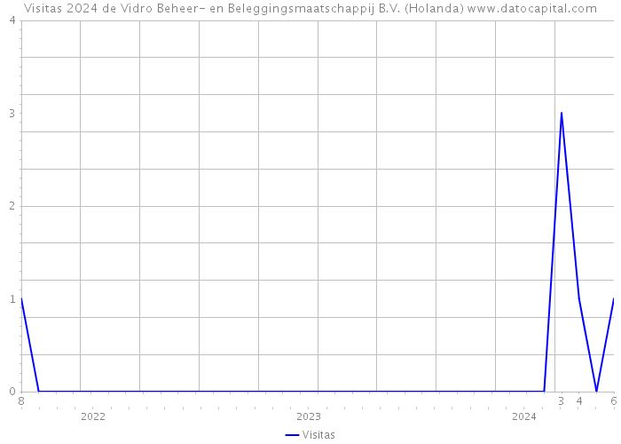 Visitas 2024 de Vidro Beheer- en Beleggingsmaatschappij B.V. (Holanda) 