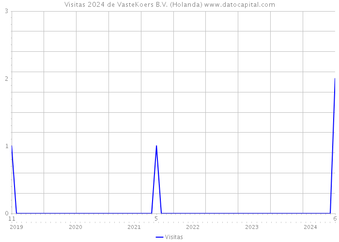 Visitas 2024 de VasteKoers B.V. (Holanda) 